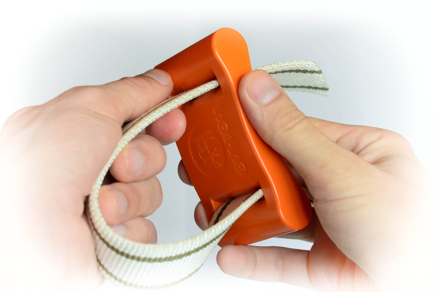 Ovi-bovi tag on a standard collar